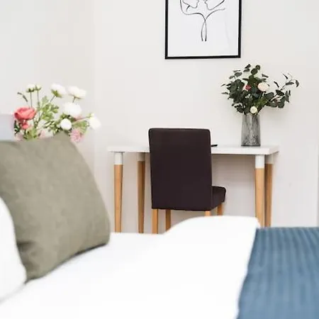 Apartment Deluxe 2bdrs In Spa District Center Karlovy Vary