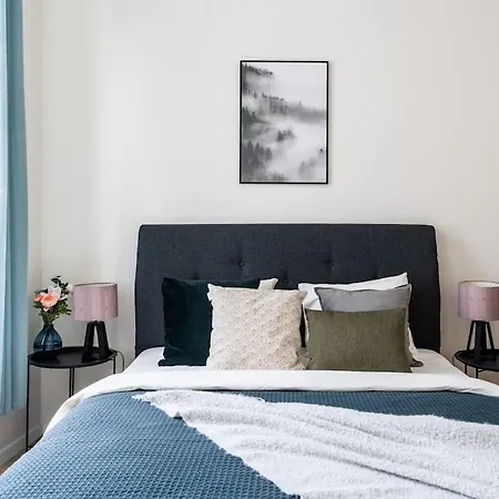 Apartment Deluxe 2bdrs In Spa District Center Karlovy Vary