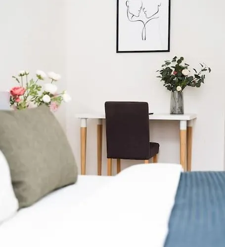 Apartament Deluxe 2bdrs In District Center Karlowe Wary